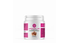 Mycology Research Auricularia MRL 500mg 90 tablets