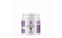 Mycology Research Blazei MRL 500mg 90 tablets