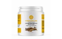 Mycology Research Cordyceps MRL 250g powder