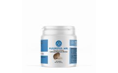 Mycology Research Pleurotus MRL 500mg 90 tablets