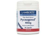Lamberts Pycnogenol 40mg