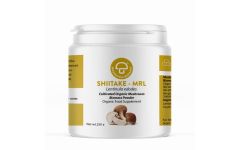 Mycology Research Shiitake MRL 250g powder
