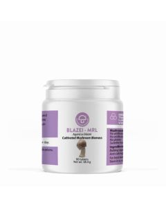 Mycology Research Blazei MRL 500mg 90 tablets